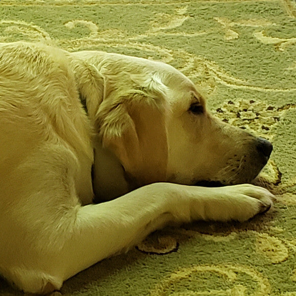 I know there is a bath coming, I am depressed.