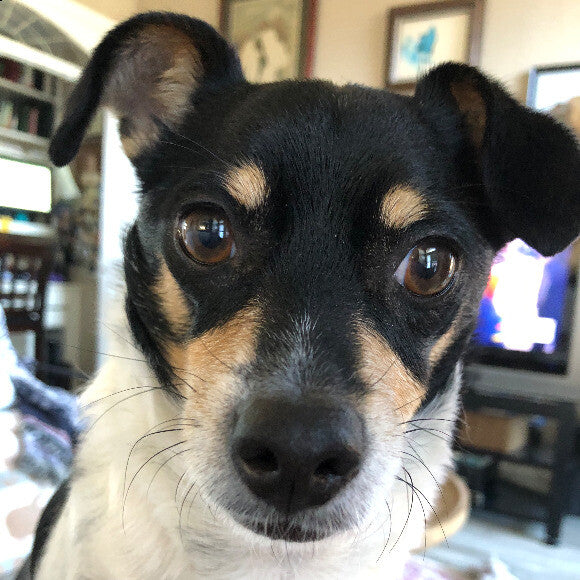 No concept of personal space.