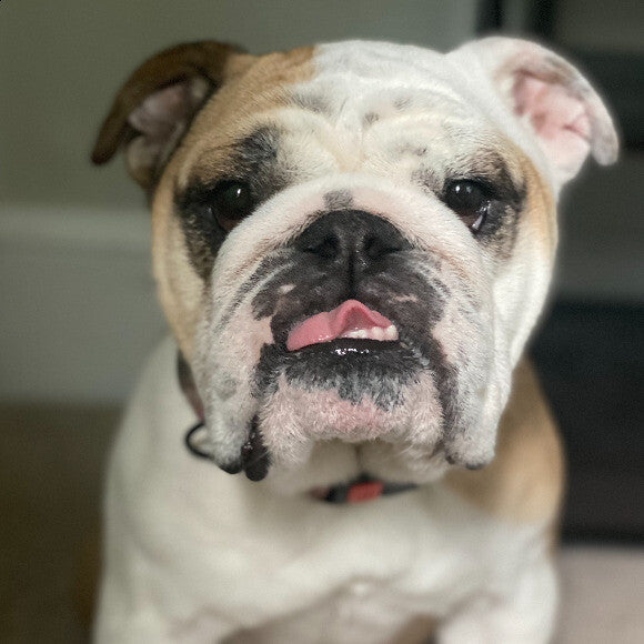 Matilda Tilly Jean