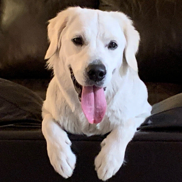 Sky at 1 year