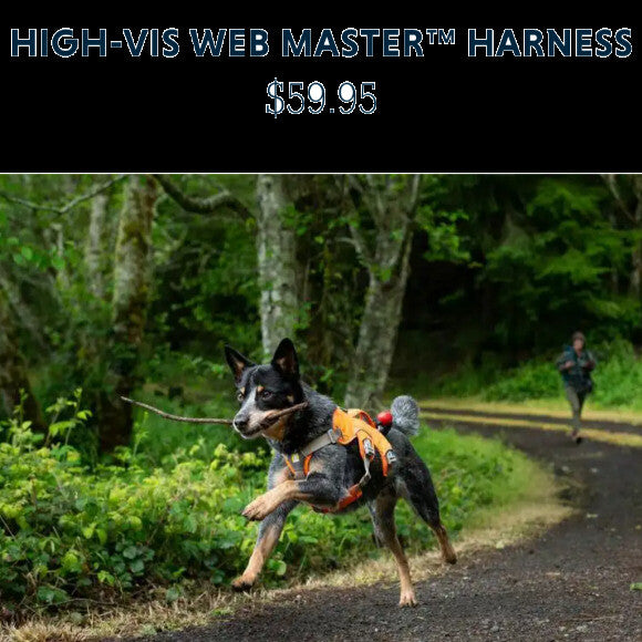 Filson was a model for Ruffwear and inspired the development of a safety harness