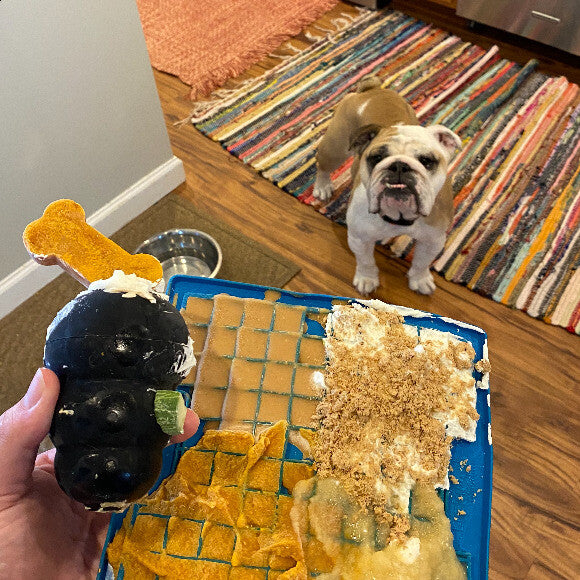 Mom even makes me fun and yummy frozen treats with Honest Kitchen crumbles and bones in my kong!