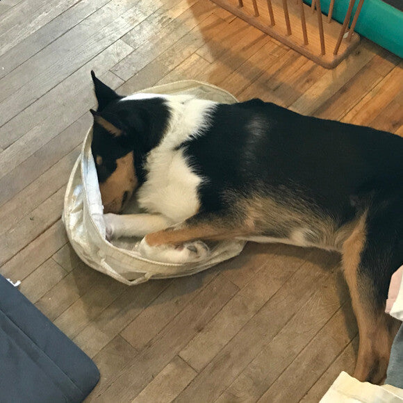 If he fits he sits