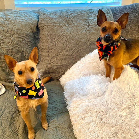 George with his sister Dolly!