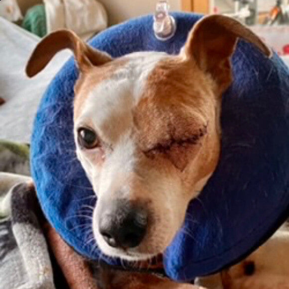 Stanley recovering