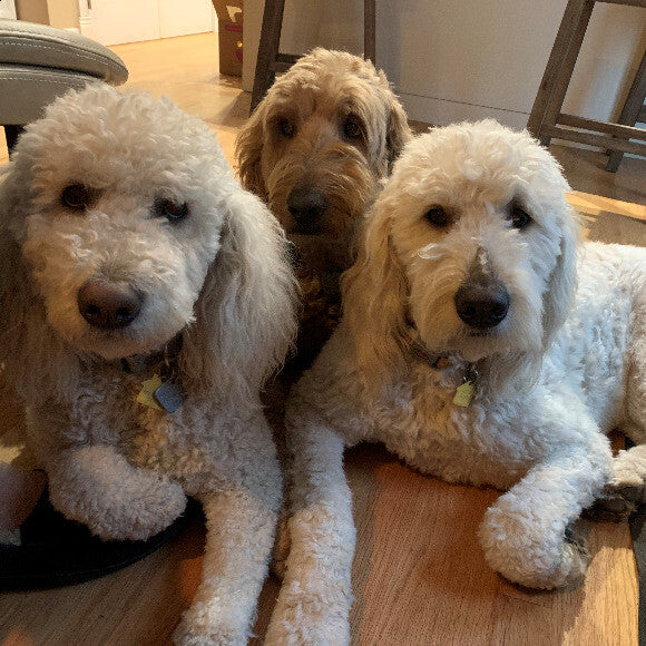 Doodle pack