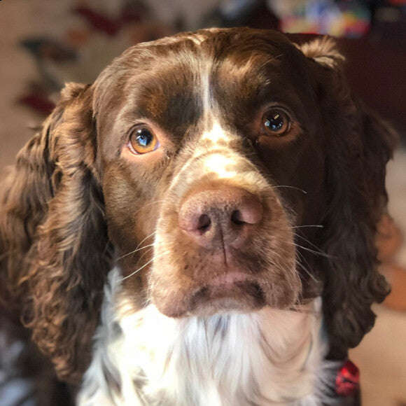 Millie ??