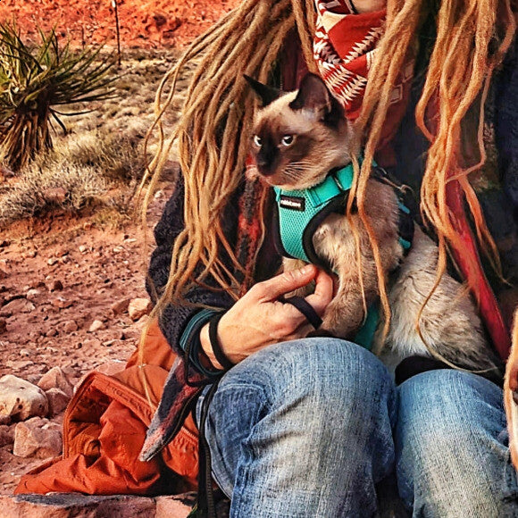 My mama and papa like to climb on the sandstone where we live. I like to sit in my mama's lap when papa is climbing. She makes me feel more confident when we're outside.
