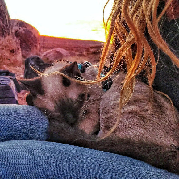 Sometimes I fall asleep on our adventures. I'm still a baby, so mama says this is normal.