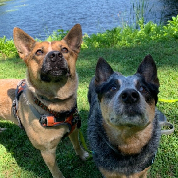 Scout and Foxy