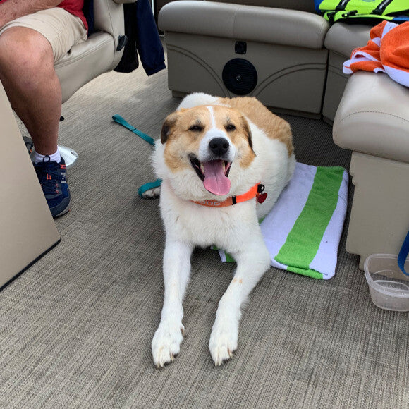 Brady age7 loves boat rides