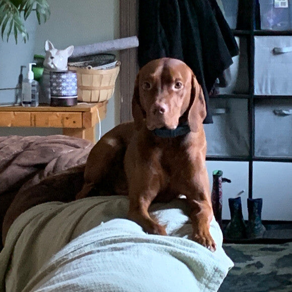 Wilson