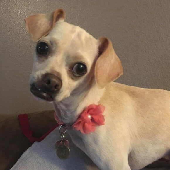 Noodles with her signature head cock