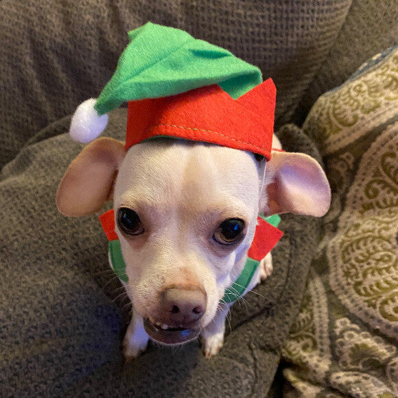 Christmas time