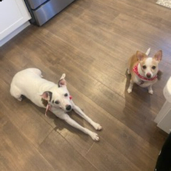 Kayley and Tinkerbell