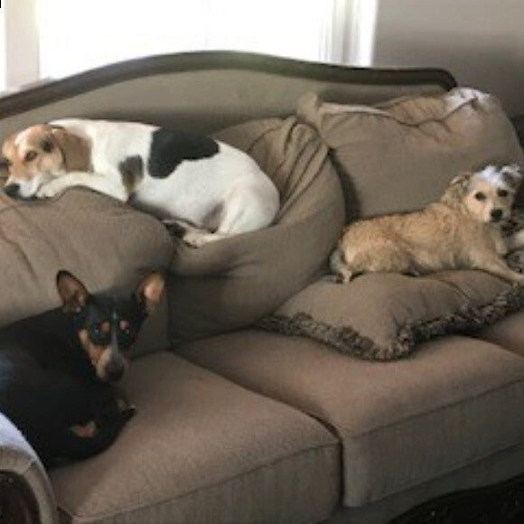 Their couch.