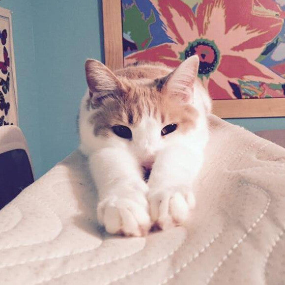 Ferguson, 13 yr. old
