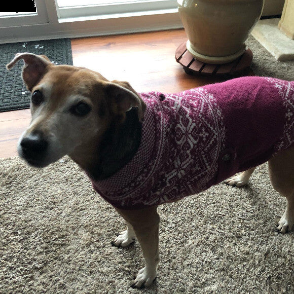 More Annie, 12 yr. old