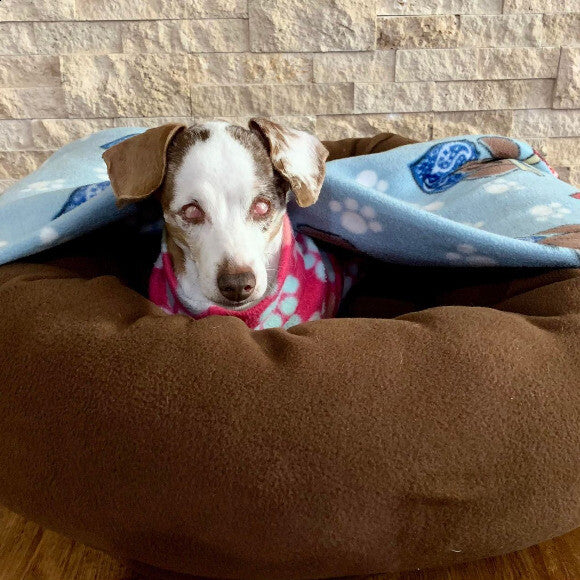 Shelly in her favorite bed