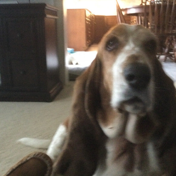 Abbie�s sister Sadie