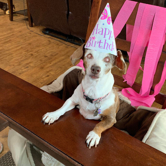 Shellys 13th Birthday
