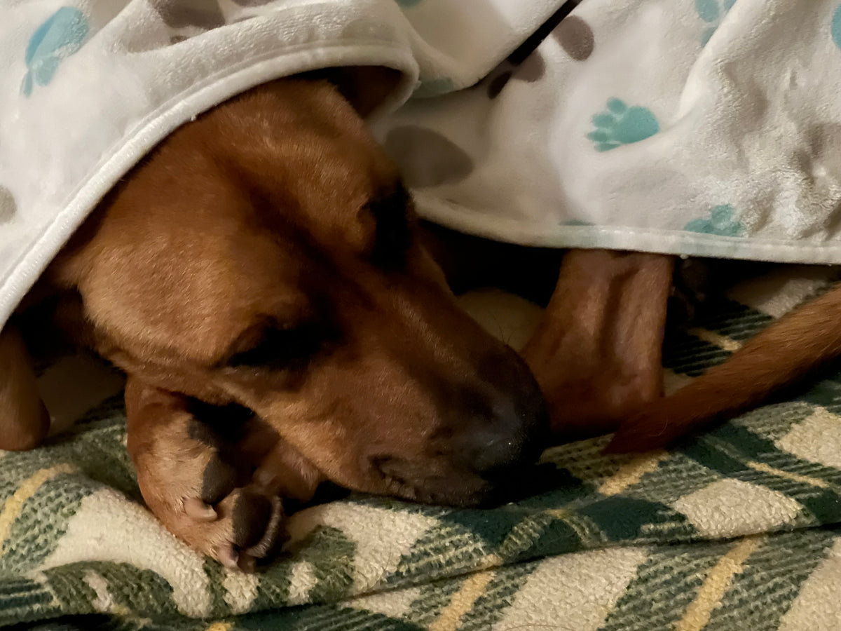 Keeping warm