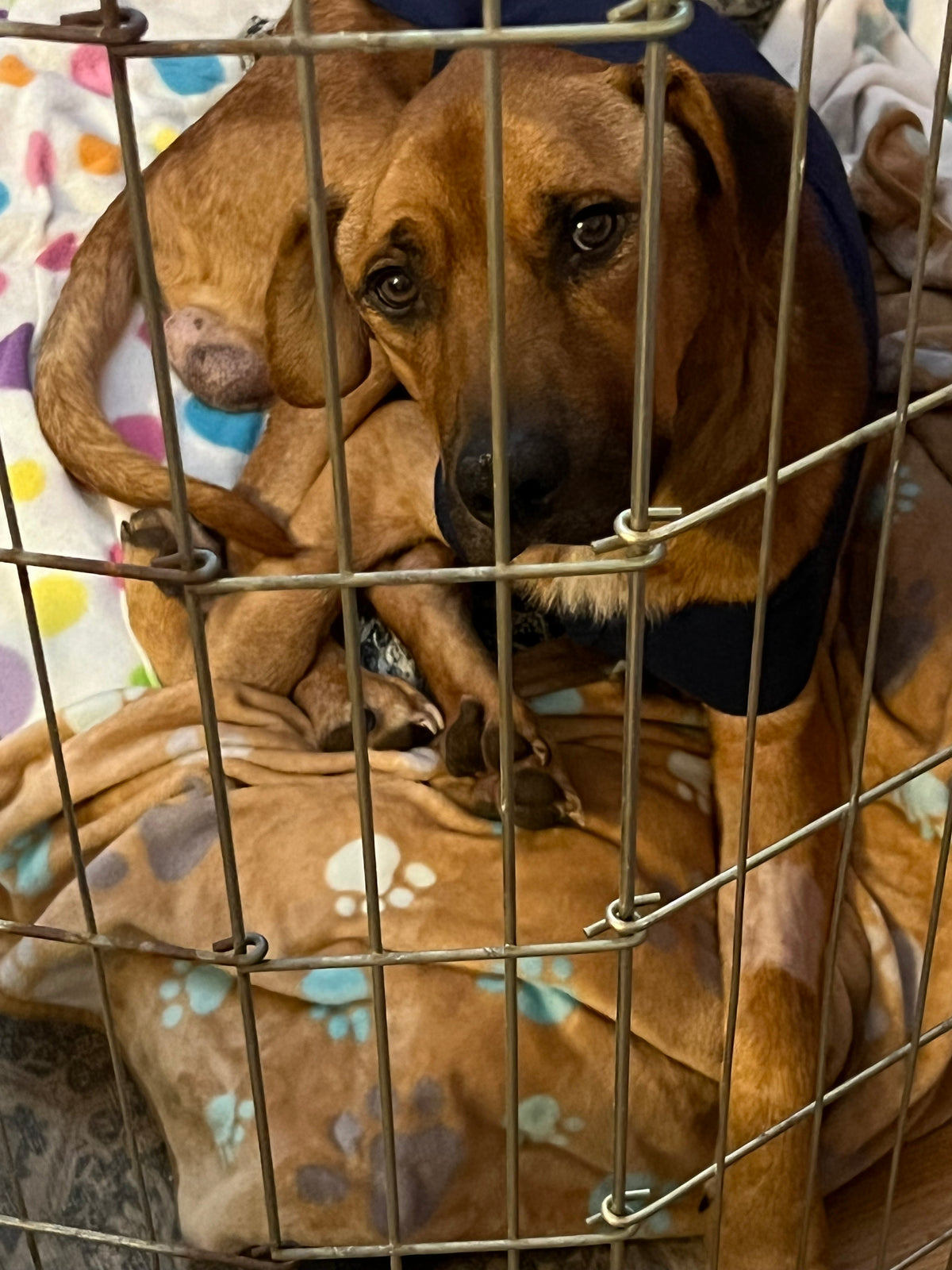 Learning to trust