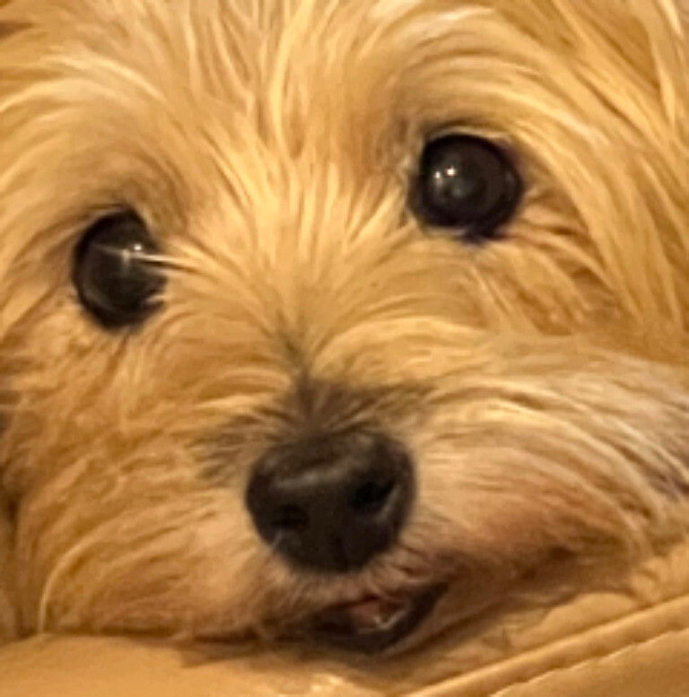 Nose allergy spot is gone