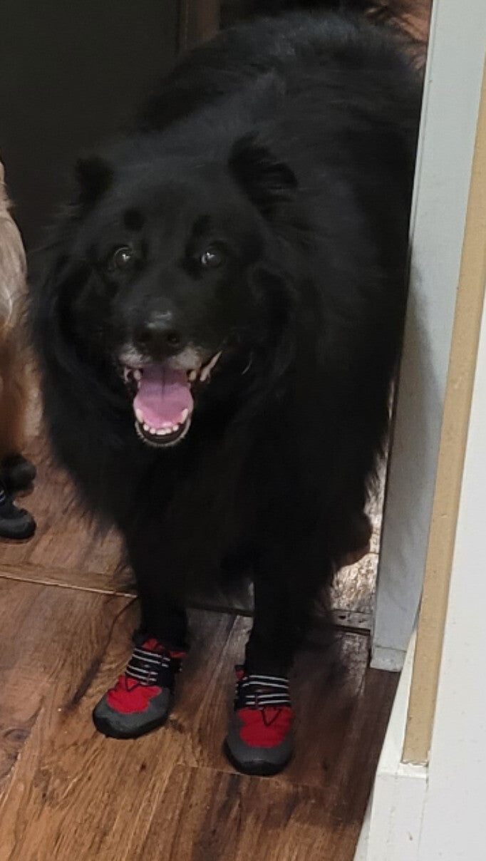 Sporting my new shoes!
