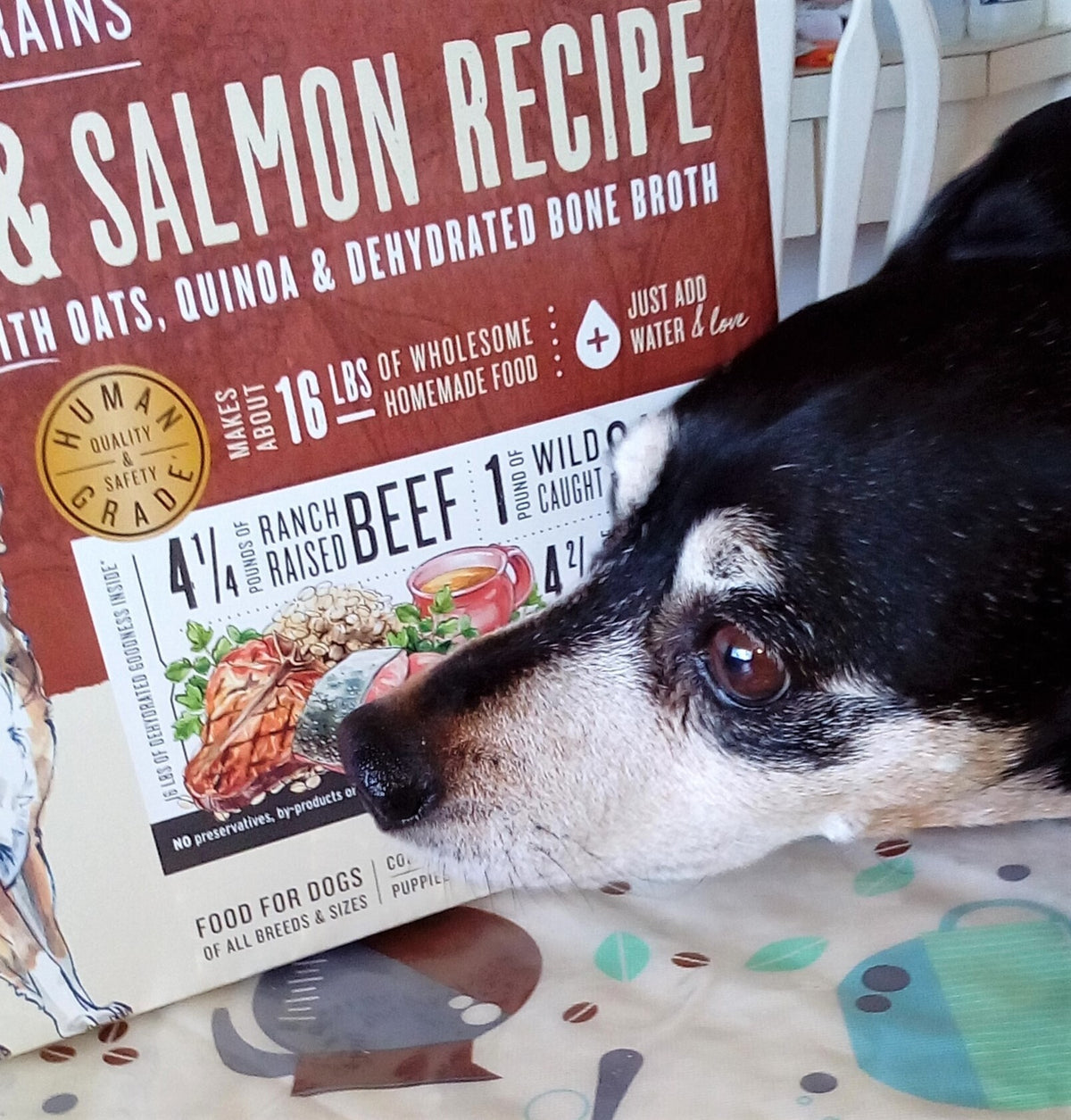 He loves this food!