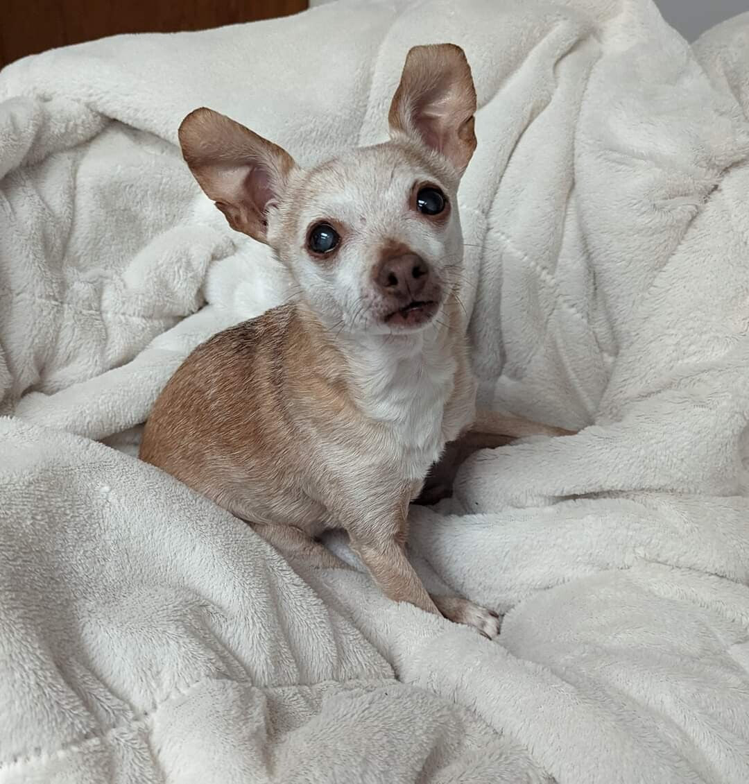 Meg,16 yrs old