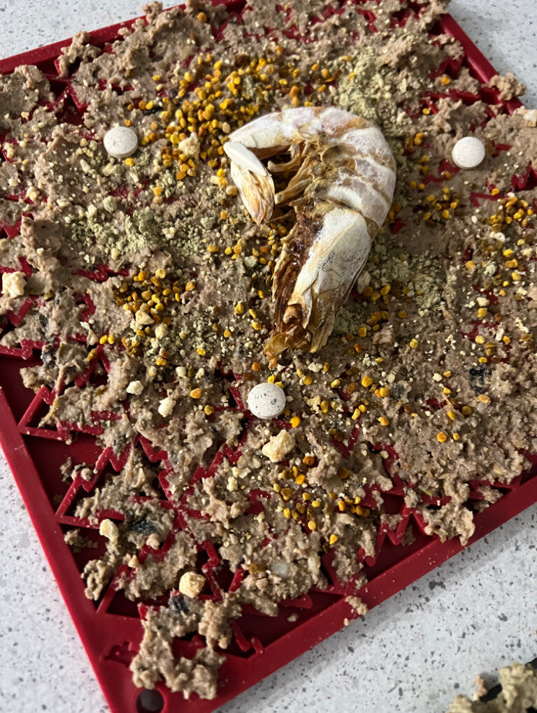 Frozen lick mat with Honest Kitchen dehydrated grain free fish