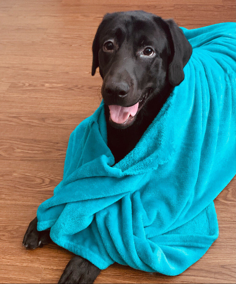 Midnight at 11 months and his blankie