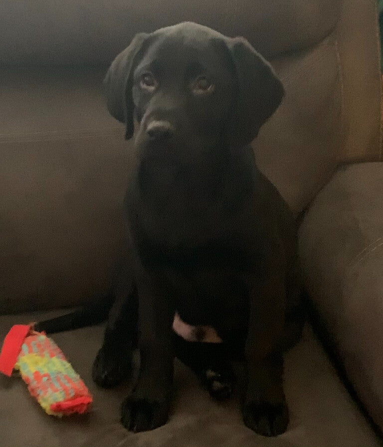 Midnight at 4 months