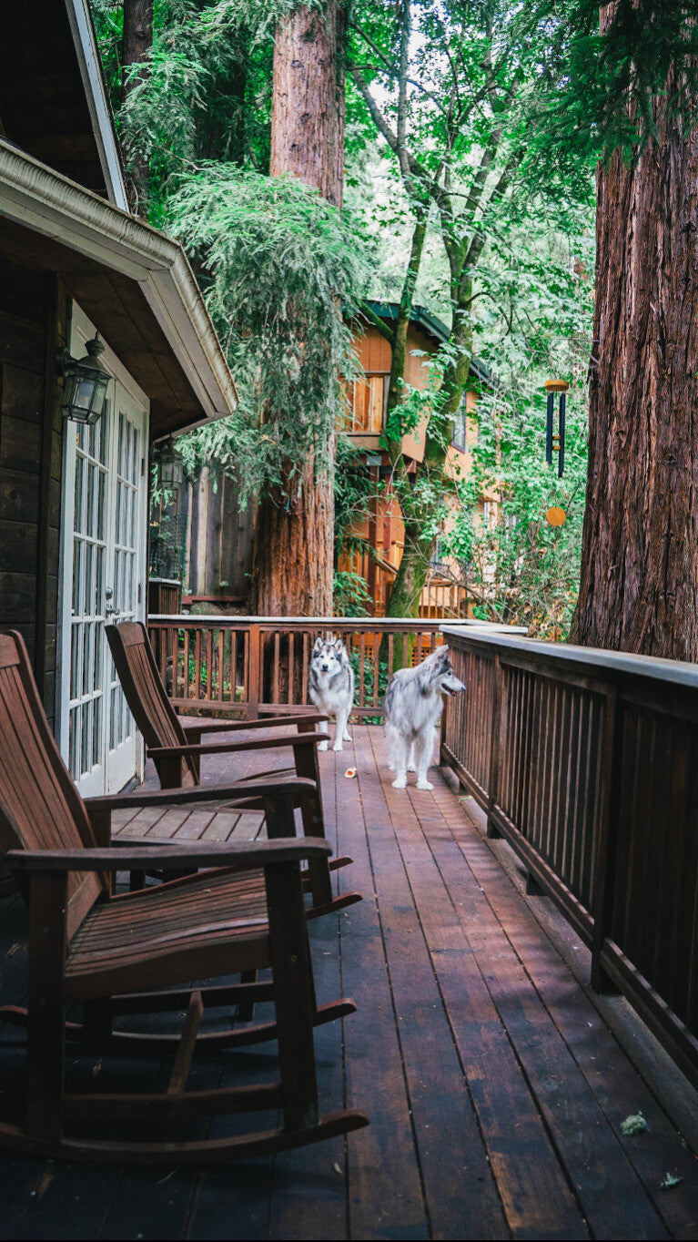Front porch vibin'