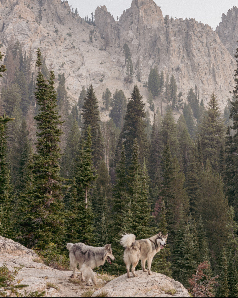 Sawtooth Mountains, ID