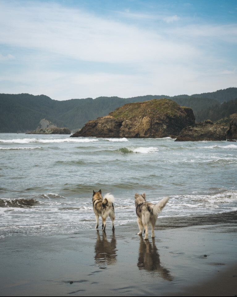 Oregon