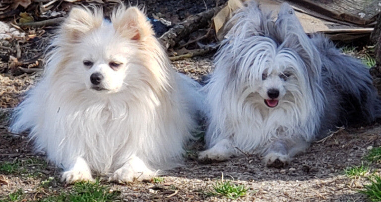 Winterfell & Sailor Blue