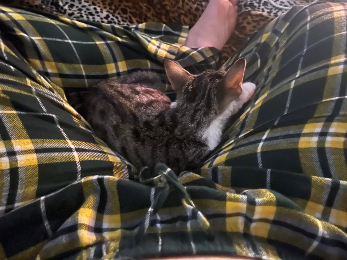 him in a food coma after eating so much