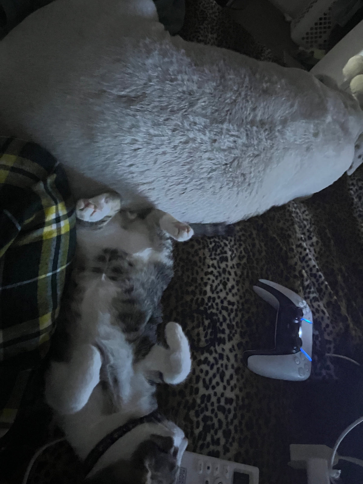 sleeping with brother