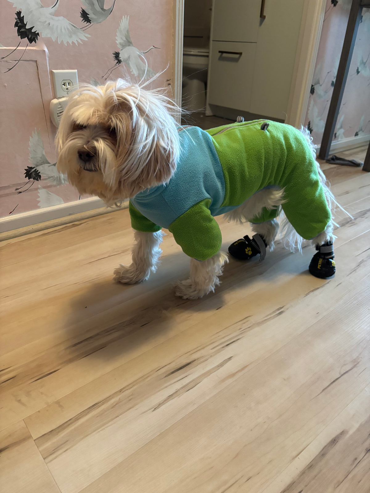 All set for the frigid temps