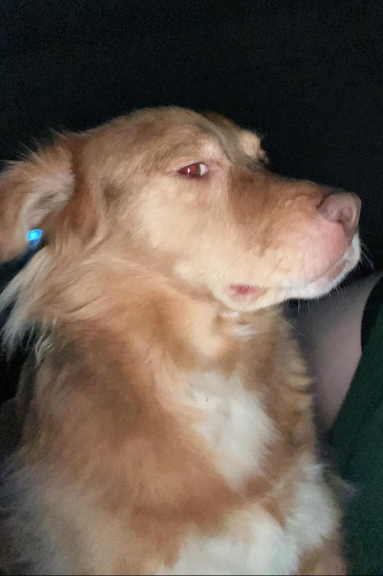 He has the side eye game on lock