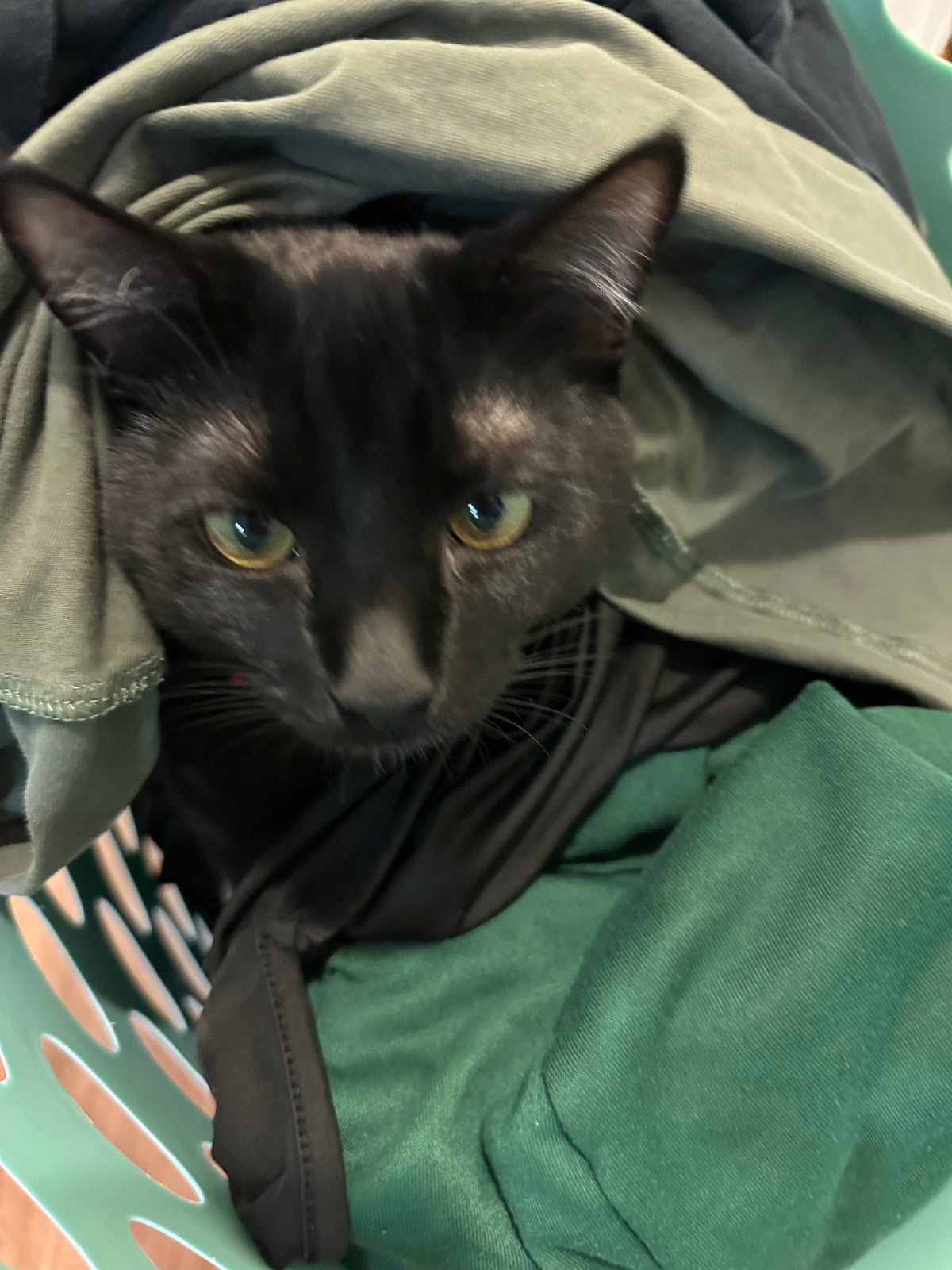 My middlest boy Ash 