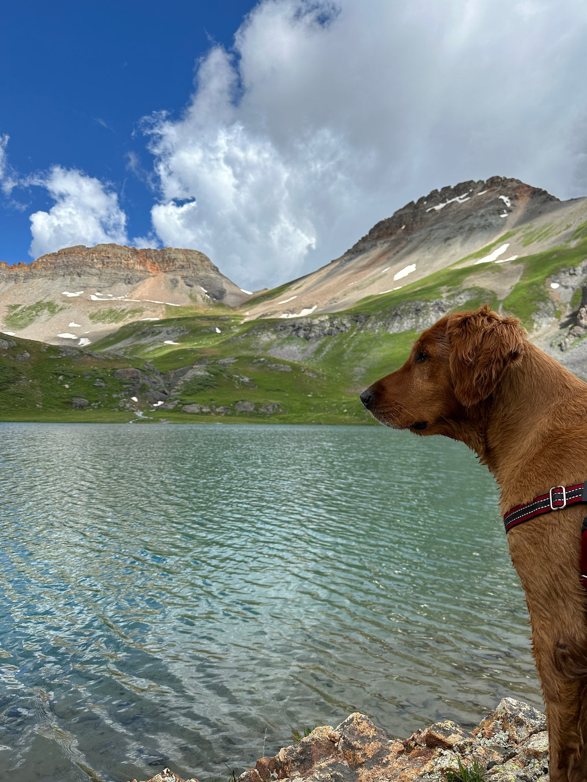Energy for big hikes again