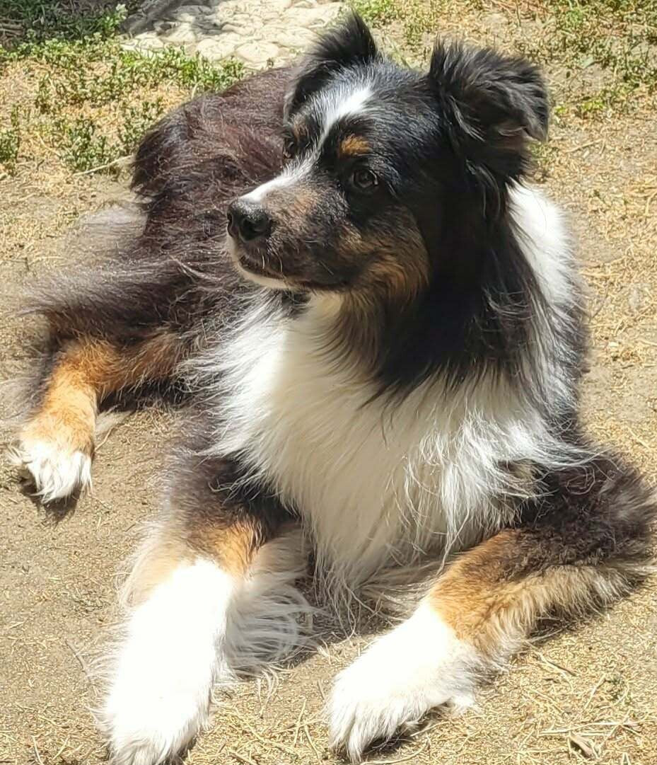My girl