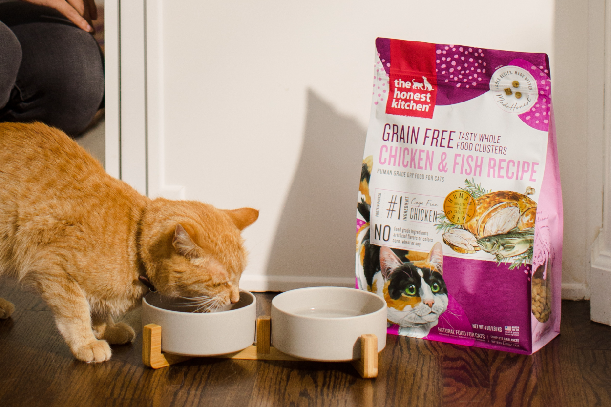 Human Grade Cat Food The Honest Kitchen