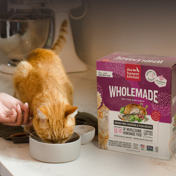 Shop Dehydrated Cat Food | The Honest Kitchen
