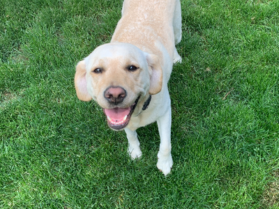 Meet Holly