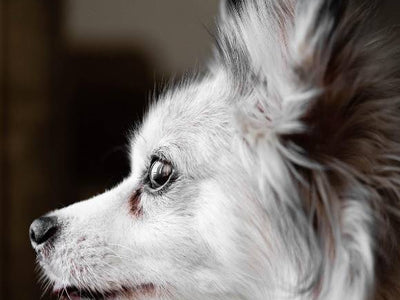 Meko