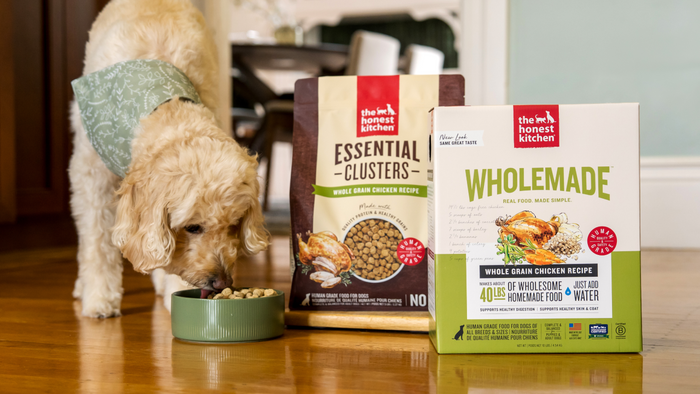 Dog eating from a bowl with The Honest Kitchen pet food packaging in the background. Healthy, high quality, human grade pet food for dogs and cats from The Honest Kitchen.
